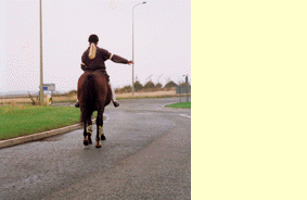 Other road users - You see a horse rider as you approach a roundabout. What should you do if they're signalling right but keeping well to the left?